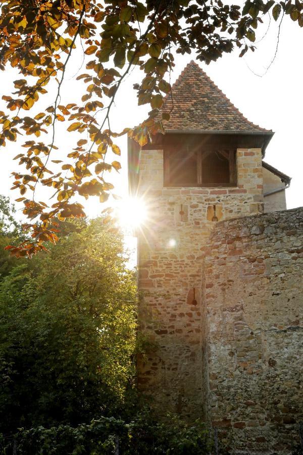 Altstadthof Freinsheim Εξωτερικό φωτογραφία